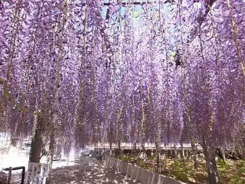 長泉寺の庭園