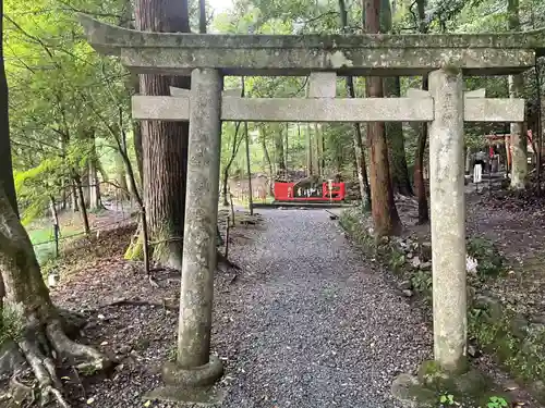 出雲大神宮の鳥居