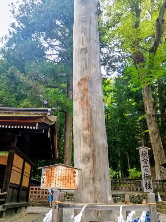 諏訪大社下社秋宮(長野県)