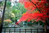 小國神社(静岡県)