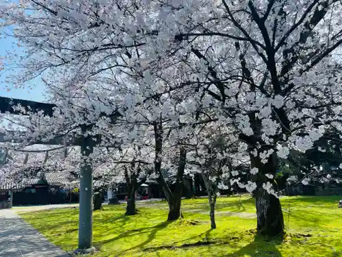 守りの神　藤基神社の庭園