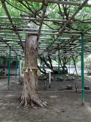 住吉神社の自然