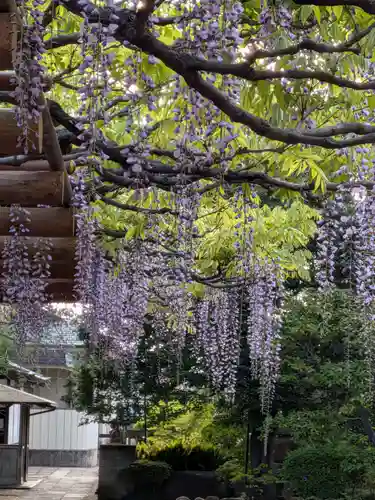 愛染院(東京都)