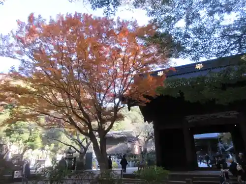 妙本寺の山門・神門