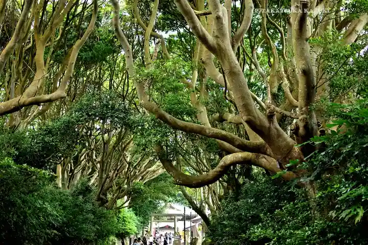 酒列磯前神社(茨城県)