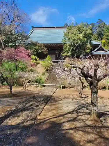 大中寺(栃木県)