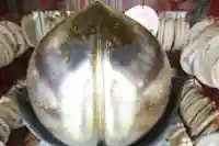 行田八幡神社(埼玉県)