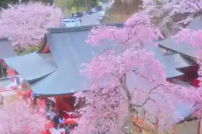 金櫻神社(山梨県)