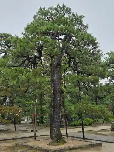 智恩寺(京都府)