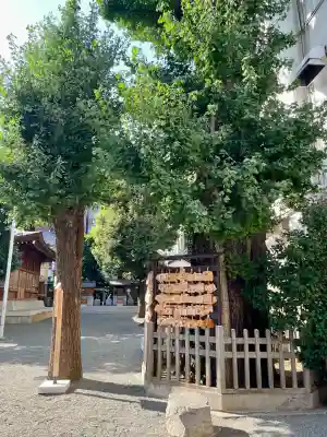 天祖神社(東京都)