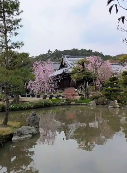 法金剛院(京都府)