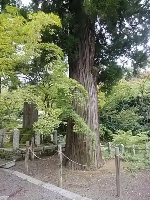 普門院(文知摺観音)(福島県)