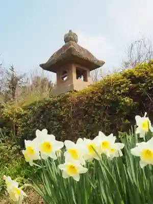 一畑薬師の自然