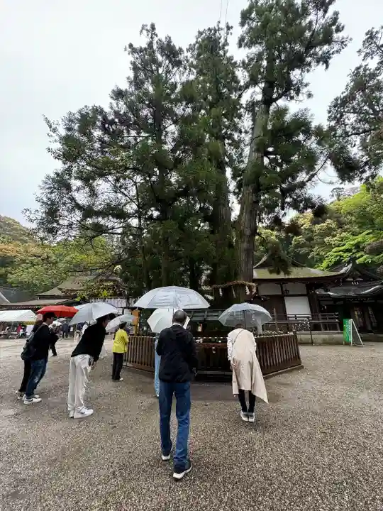 大神神社(奈良県)