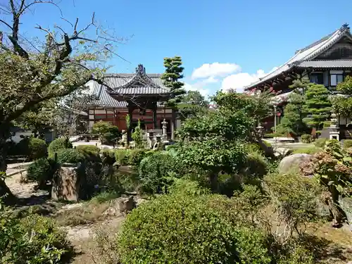 正宗寺の庭園