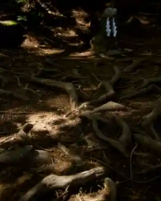 戸隠神社火之御子社(長野県)