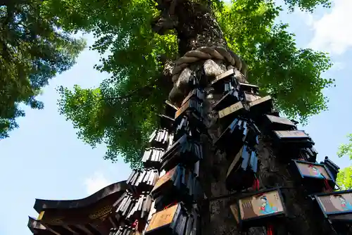 素盞雄神社(東京都)