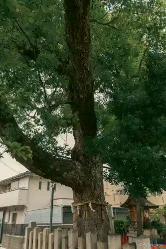 保利神社(大阪府)