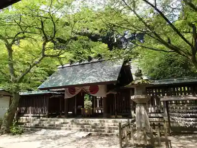 金崎宮の本殿・本堂