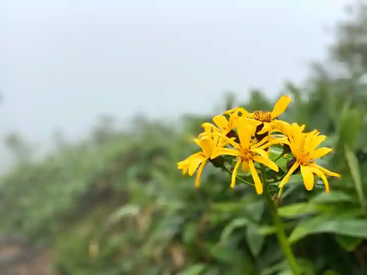 飯縄神社 奥社(長野県)