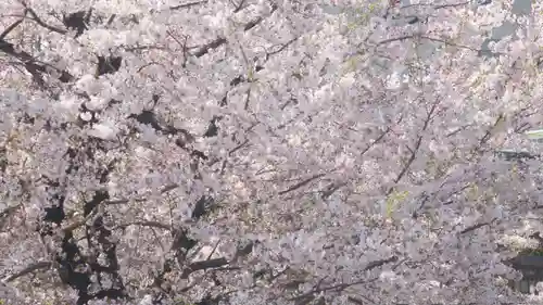 津観音(三重県)