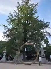 賀羅加波神社の建物その他