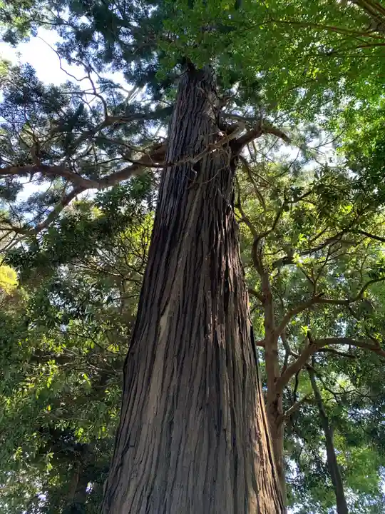 八幡神社(千葉県)