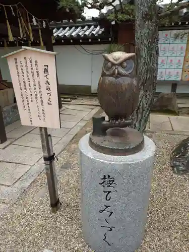 射楯兵主神社(兵庫県)