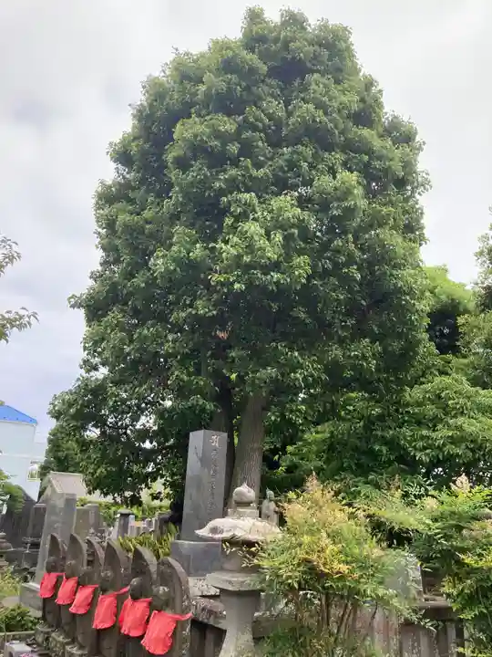 龍華寺(神奈川県)