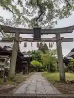 新熊野神社(京都府)