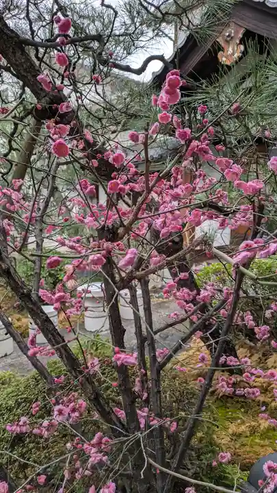 宝蔵寺(京都府)