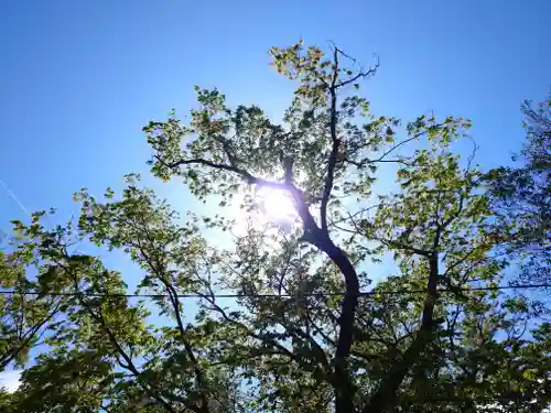 阿邪訶根神社(福島県)