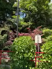 城山八幡宮(愛知県)