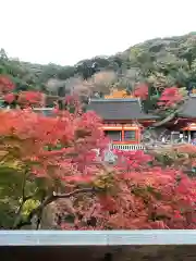 清水寺(京都府)