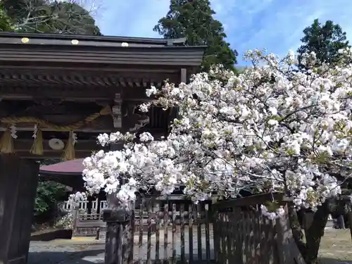 道相神社(京都府)