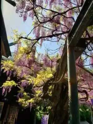 國領神社(東京都)