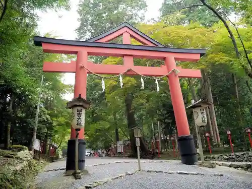 日吉大社の鳥居