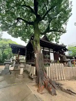 御幸森天神宮(大阪府)