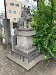 今戸神社の狛犬