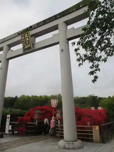 長岡天満宮の鳥居