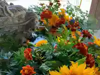 滑川神社 - 仕事と子どもの守り神の手水舎