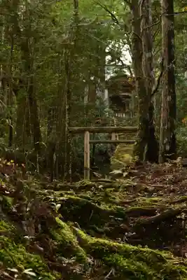 高峯神社(高知県)