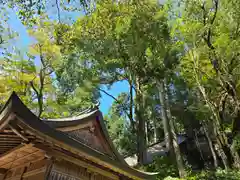 丹生川上神社（下社）(奈良県)