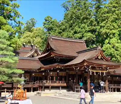 多賀大社の本殿・本堂