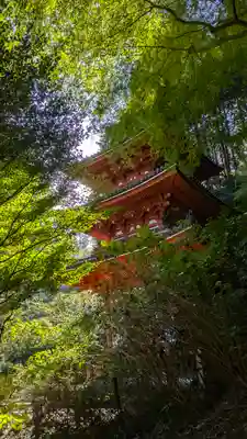 岩船寺(京都府)