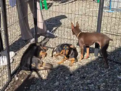 竹生島神社（都久夫須麻神社）(滋賀県)