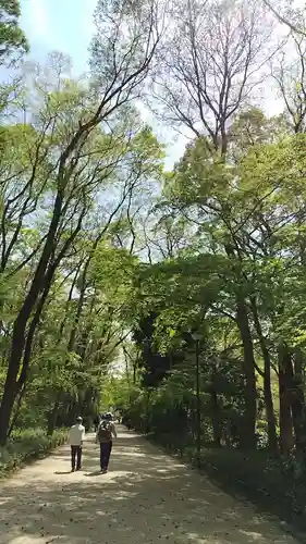 賀茂御祖神社（下鴨神社）の景色