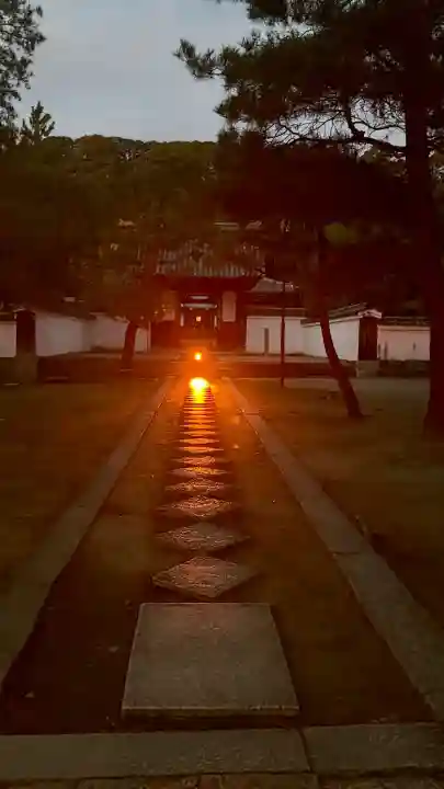 萬福寺の{uncategorized: "未分類", other: "その他", undefined: "問題あり", building: "その他建物", grave: "お墓", sacred_gate: "鳥居", guardian: "狛犬", statue: "像", buddha: "仏像", history: "歴史", nature: "自然", garden: "庭園", animal: "動物", pagoda: "塔", temizu: "手水舎", mountain_gate: "山門・神門", sanctuary: "本殿・本堂", subordinate: "末社・摂社", art: "芸術", scenery: "景色", jizo: "地蔵", ema: "絵馬", goshuin: "御朱印", omikuji: "おみくじ", items: "授与品その他", amulet: "お守り", goshuincho: "御朱印帳", eats: "食事", festival: "お祭り", votive_dance: "神楽", shichigosan: "七五三参", wedding: "結婚式", experience: "体験その他", initially: "初詣", around: "周辺", anti_infection: "感染症対策"}