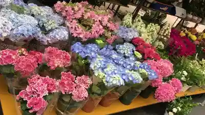 浅草富士浅間神社の周辺