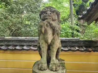 金刀比羅宮の狛犬